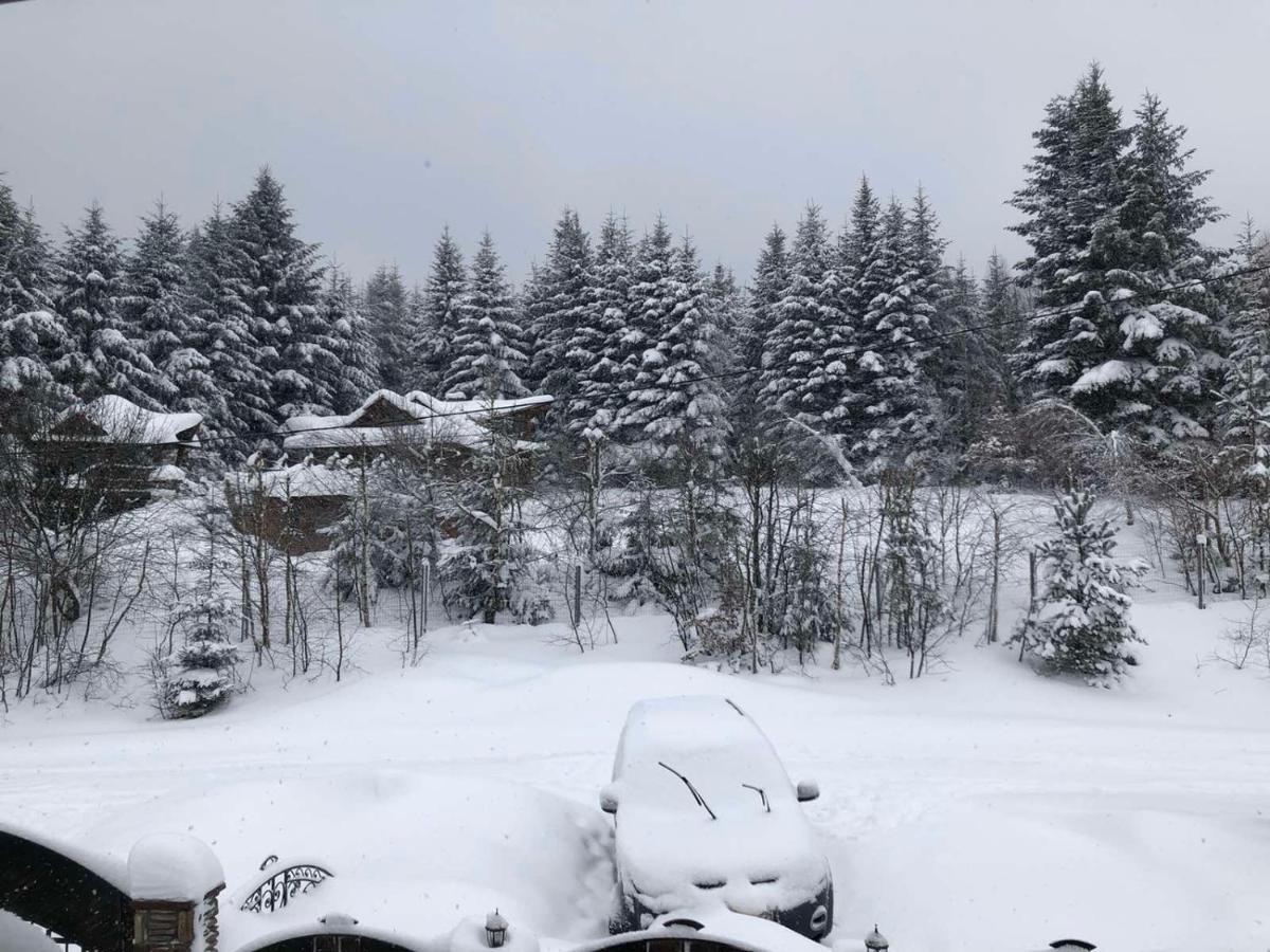 Апартаменти Олівія Skhidnytsia Dış mekan fotoğraf